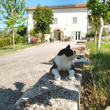 Le Piracante Caiazzo エクステリア 写真