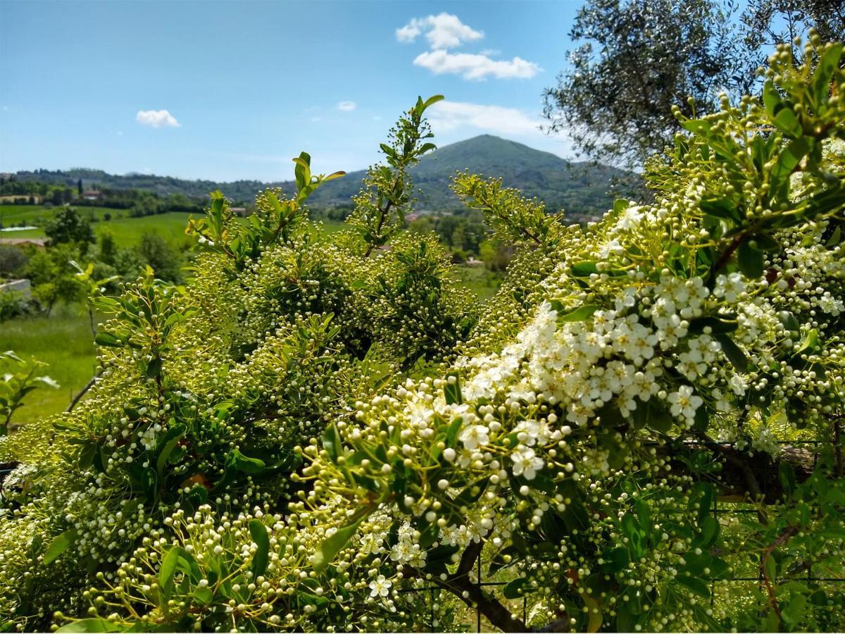 Le Piracante Caiazzo エクステリア 写真