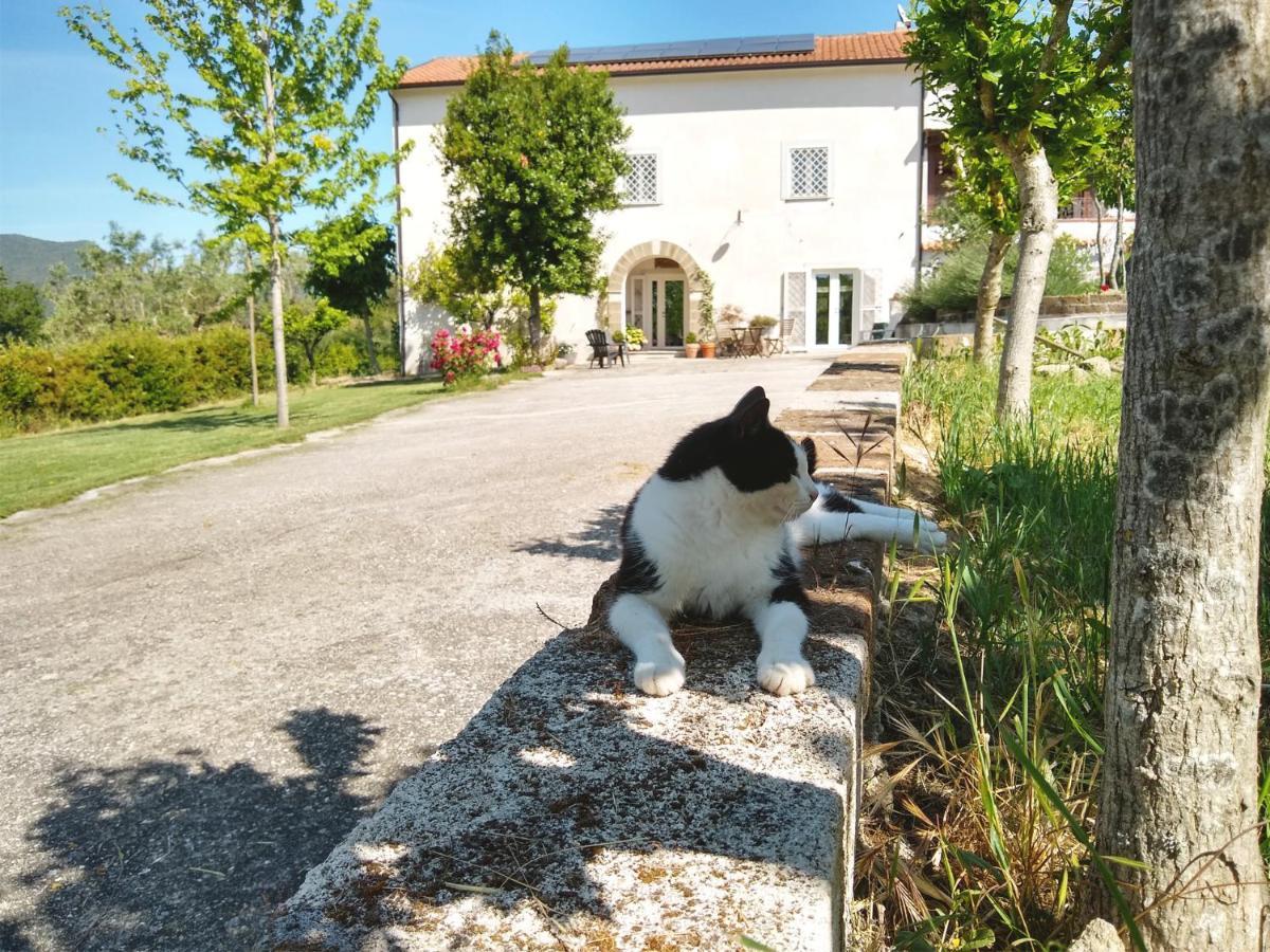 Le Piracante Caiazzo エクステリア 写真