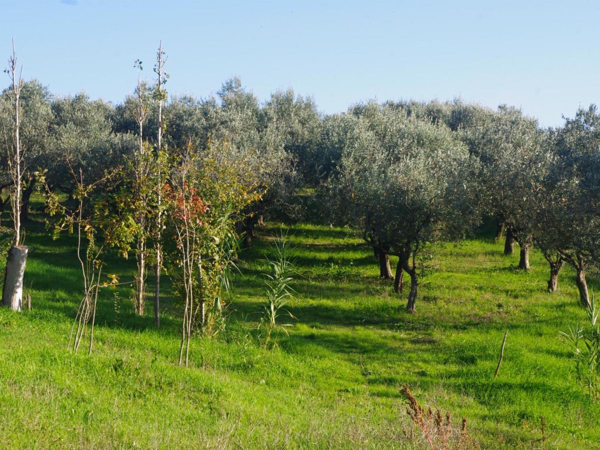 Le Piracante Caiazzo エクステリア 写真