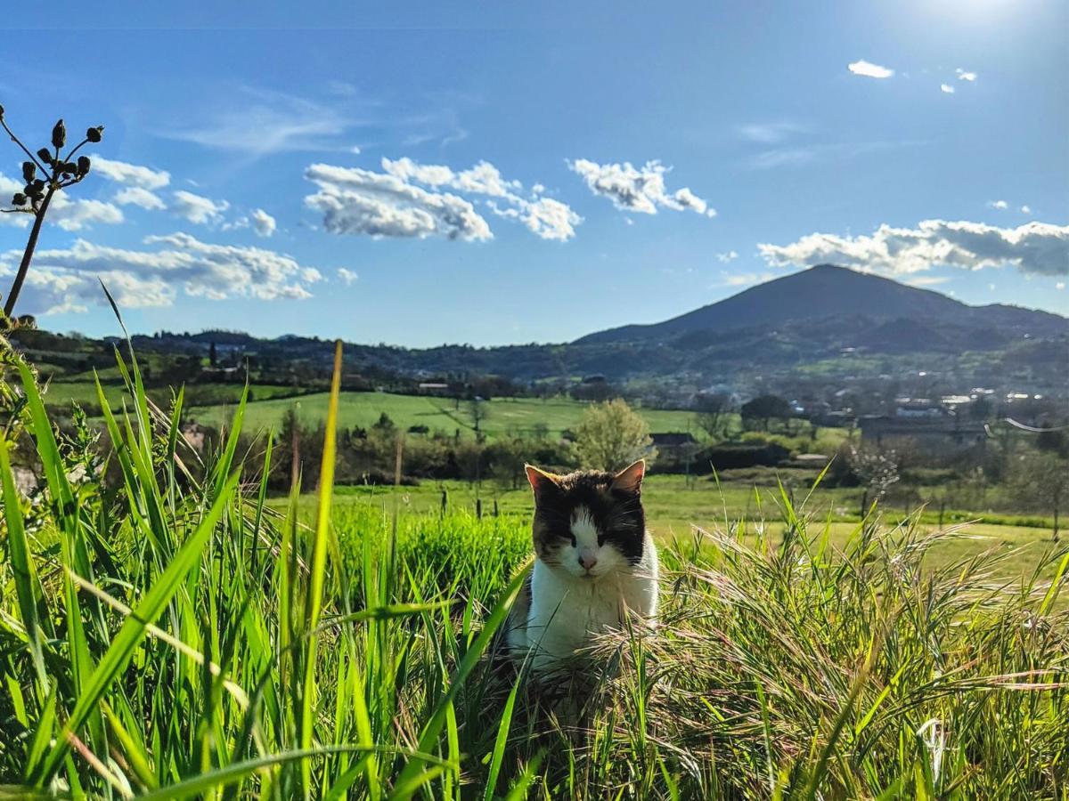 Le Piracante Caiazzo エクステリア 写真